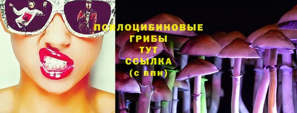 хмурый Вязники