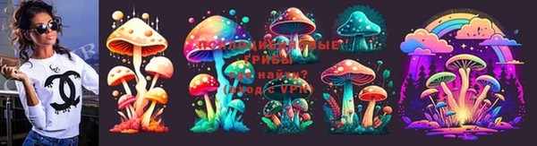 спиды Вяземский