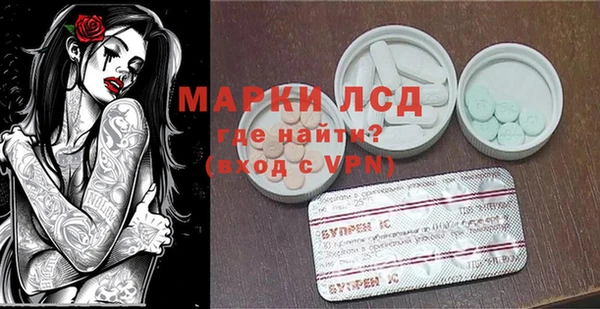 спиды Вяземский