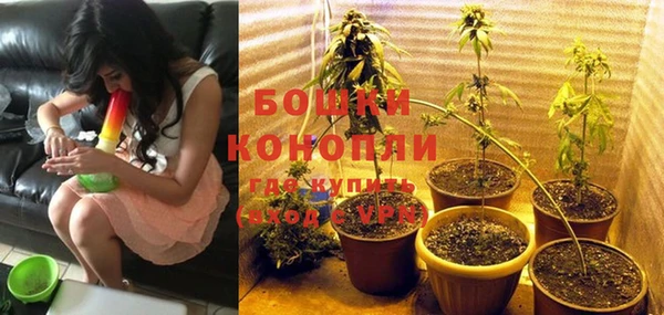не бодяженный Снежинск