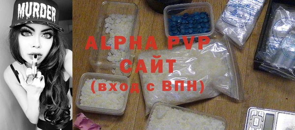 спиды Вяземский