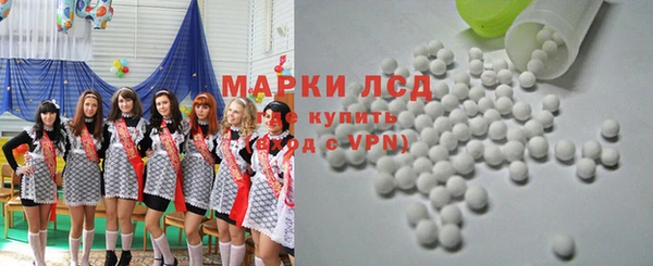 спиды Вяземский