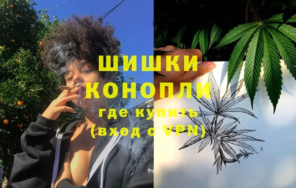 спиды Вяземский